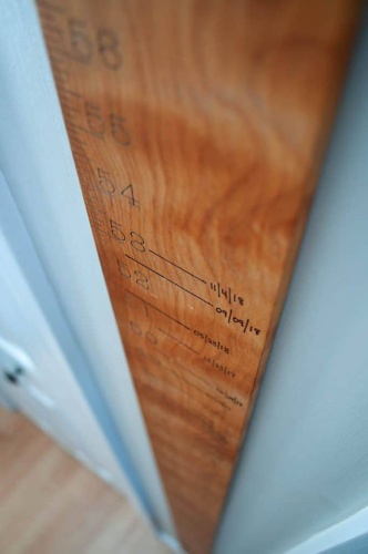 timeline-growth-ruler-close-up-681x1024